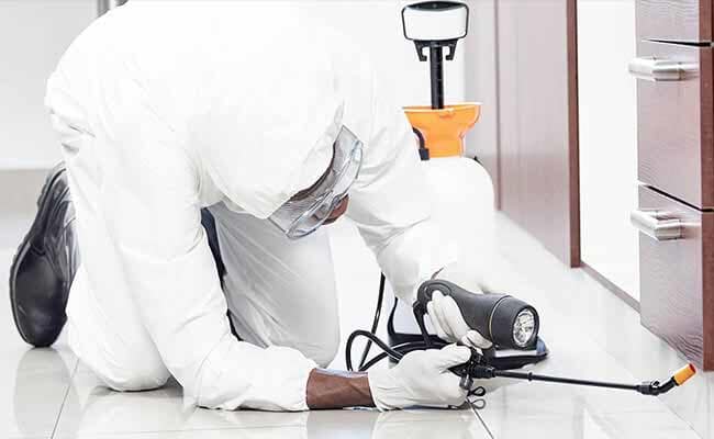 FUMIGADOR ESPECIALISTA EN ELIMINAR CHINCHES EN ALCALDIAS